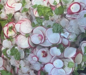 Tartare de daurade royale